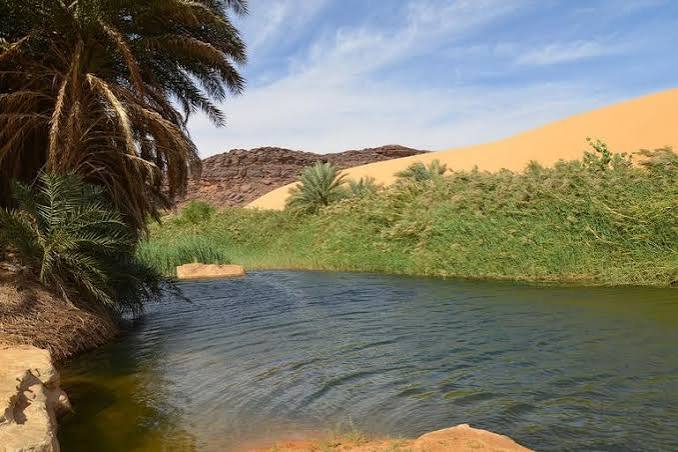 Oasis mauritanienne : une ressource en eau à préserver